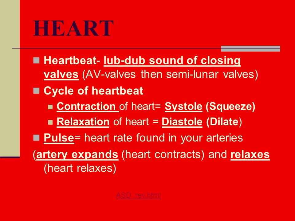 HEART Heartbeat- lub-dub sound of closing valves (AV-valves then semi-lunar valves) Cycle of heartbeat Contraction of heart= Systole (Squeeze) Relaxation of heart = Diastole (Dilate) Pulse= heart rate found in your arteries (artery expands (heart contracts) and relaxes (heart relaxes) ASD_rev.html
