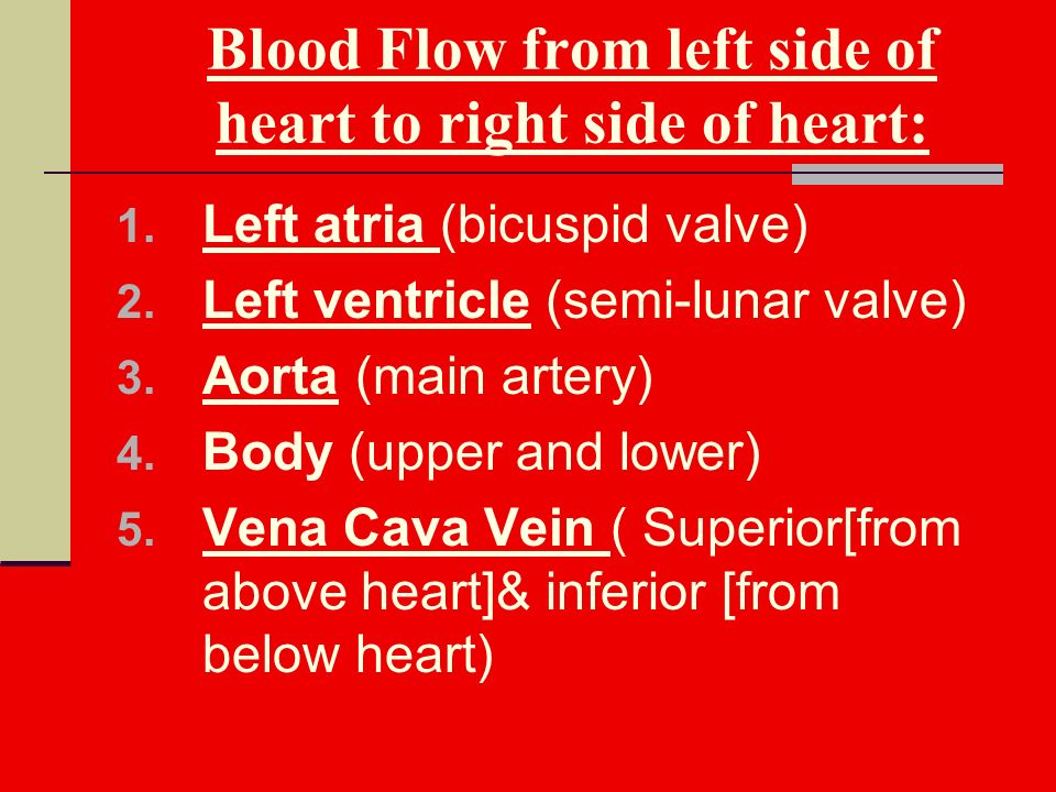 Blood Flow from left side of heart to right side of heart: 1.