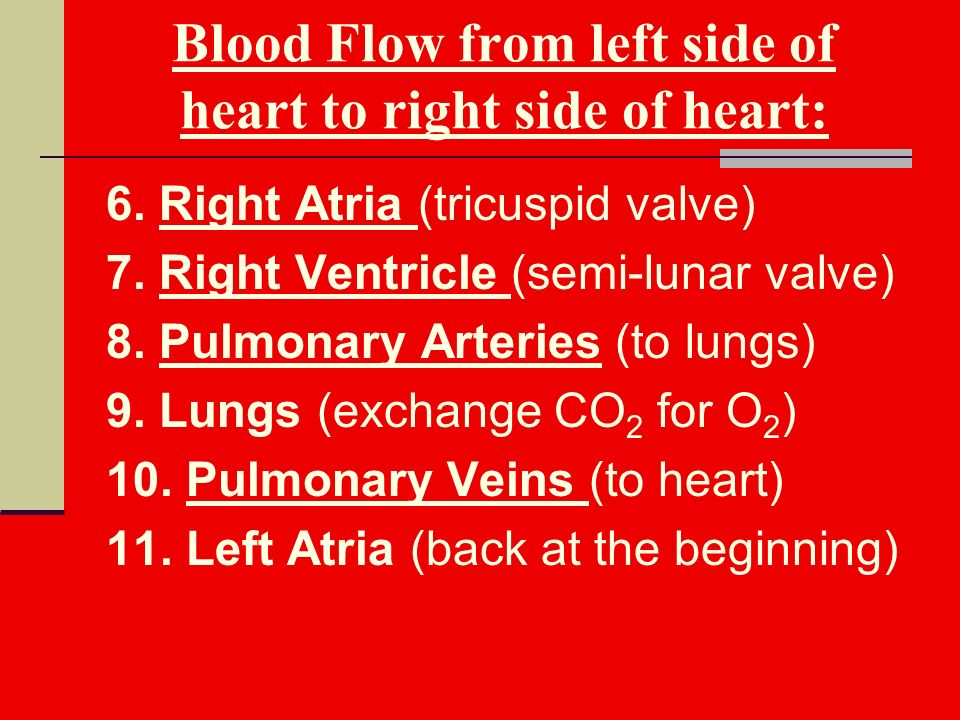 Blood Flow from left side of heart to right side of heart: 6.