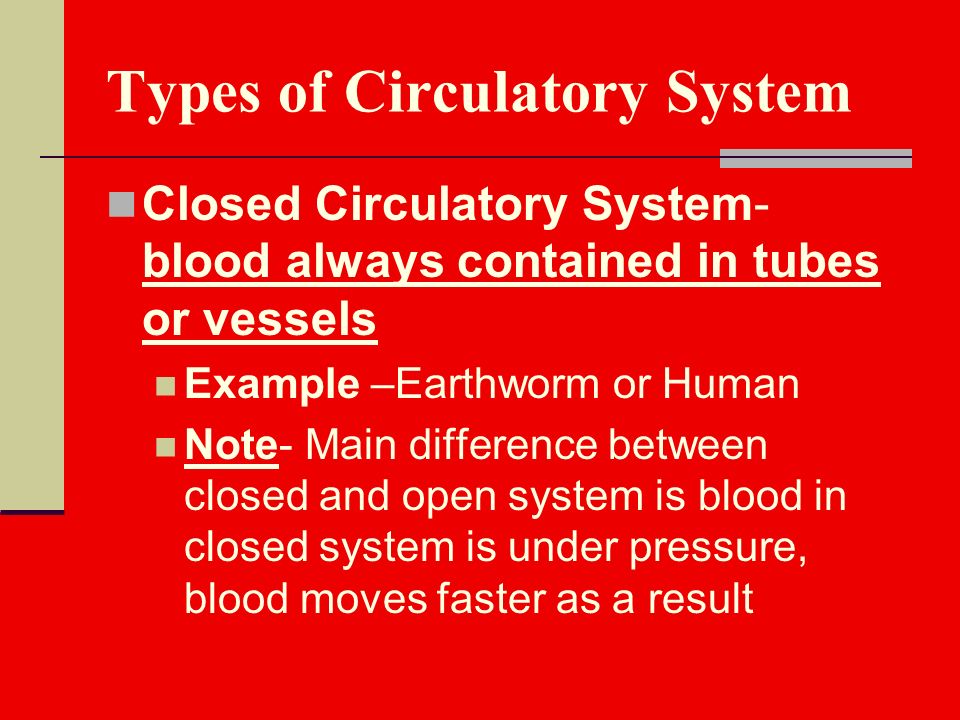 Types of Circulatory System Closed Circulatory System- blood always contained in tubes or vessels Example –Earthworm or Human Note- Main difference between closed and open system is blood in closed system is under pressure, blood moves faster as a result