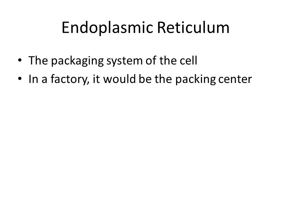 Endoplasmic Reticulum The packaging system of the cell In a factory, it would be the packing center