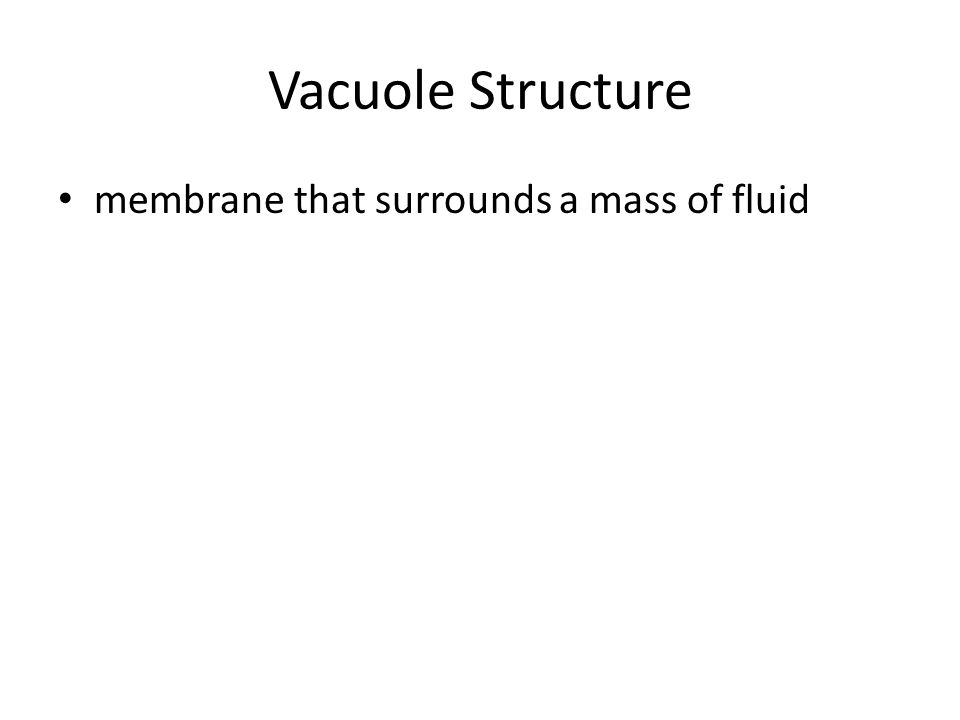 Vacuole Structure membrane that surrounds a mass of fluid