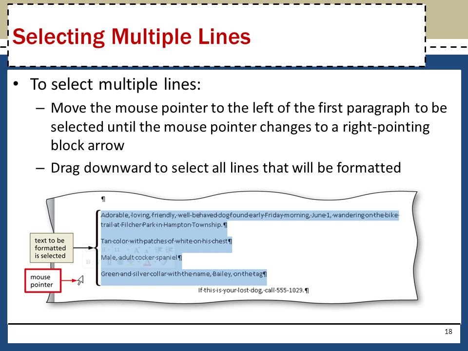 To select multiple lines: – Move the mouse pointer to the left of the first paragraph to be selected until the mouse pointer changes to a right-pointing block arrow – Drag downward to select all lines that will be formatted 18 Selecting Multiple Lines