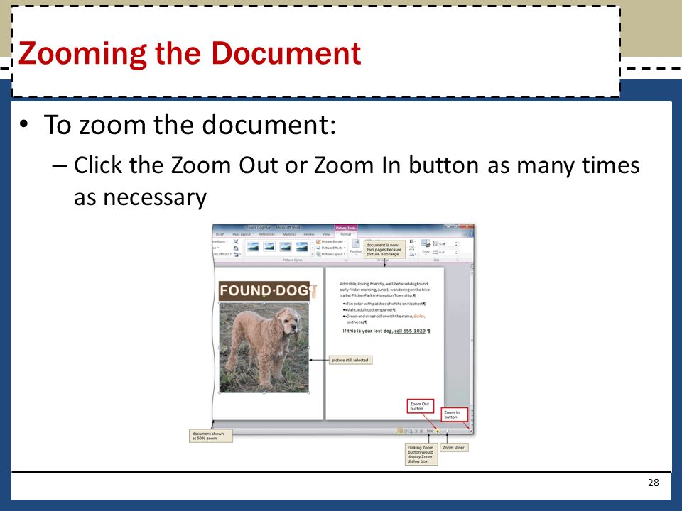 To zoom the document: – Click the Zoom Out or Zoom In button as many times as necessary 28 Zooming the Document