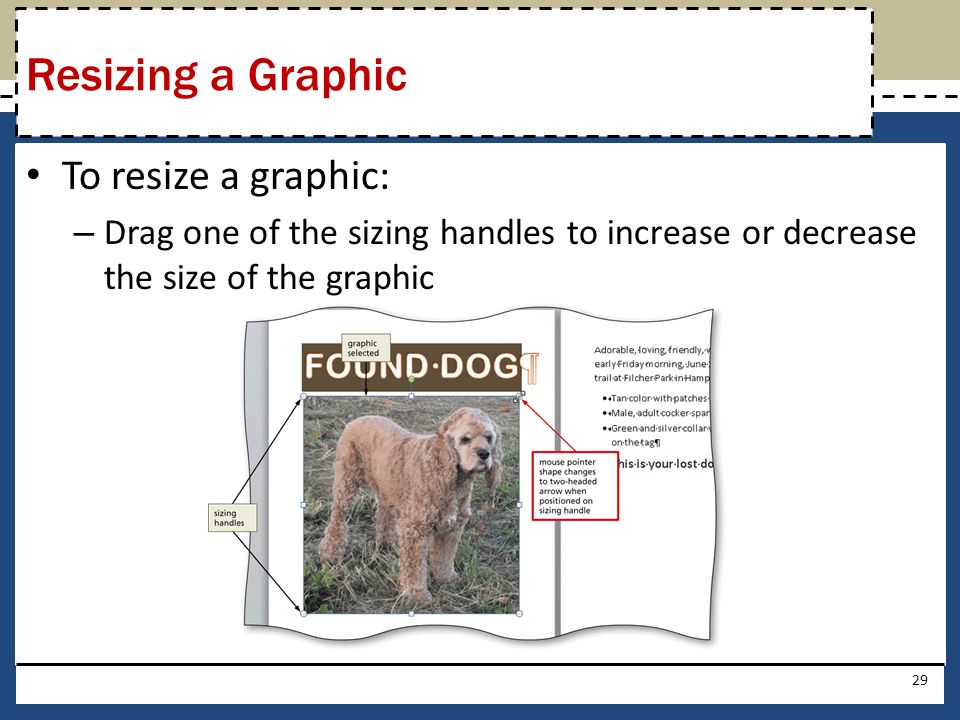 To resize a graphic: – Drag one of the sizing handles to increase or decrease the size of the graphic 29 Resizing a Graphic