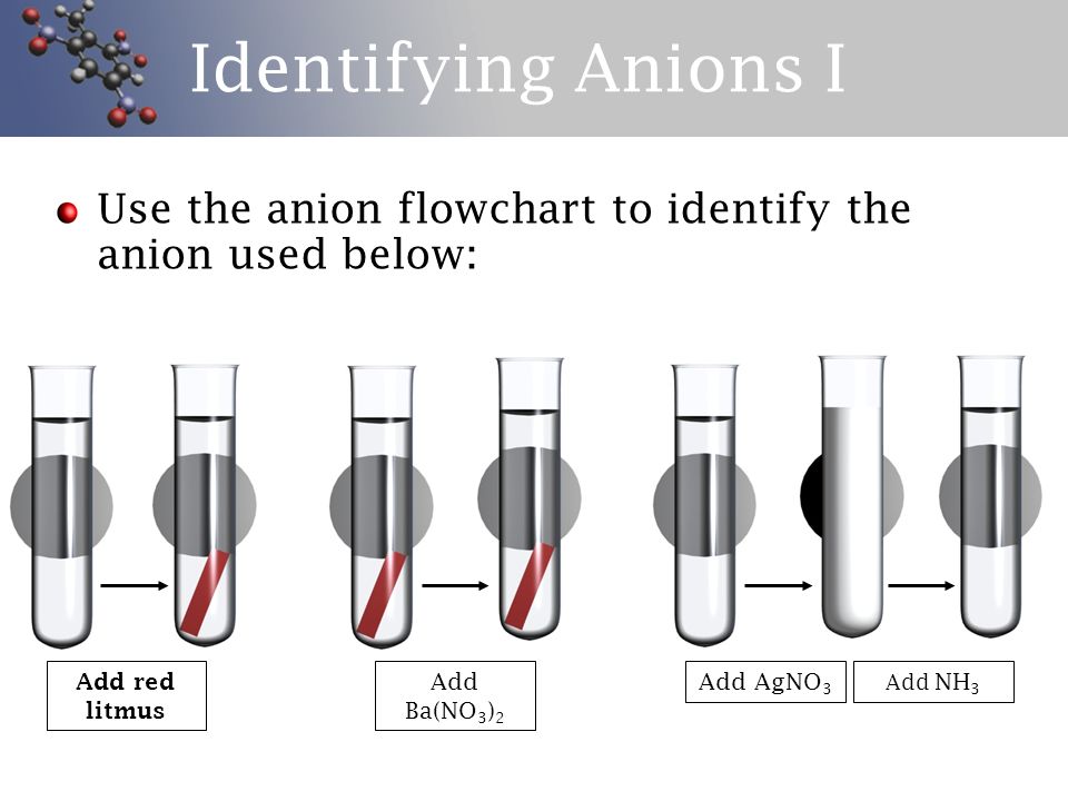 Anion Flow Chart