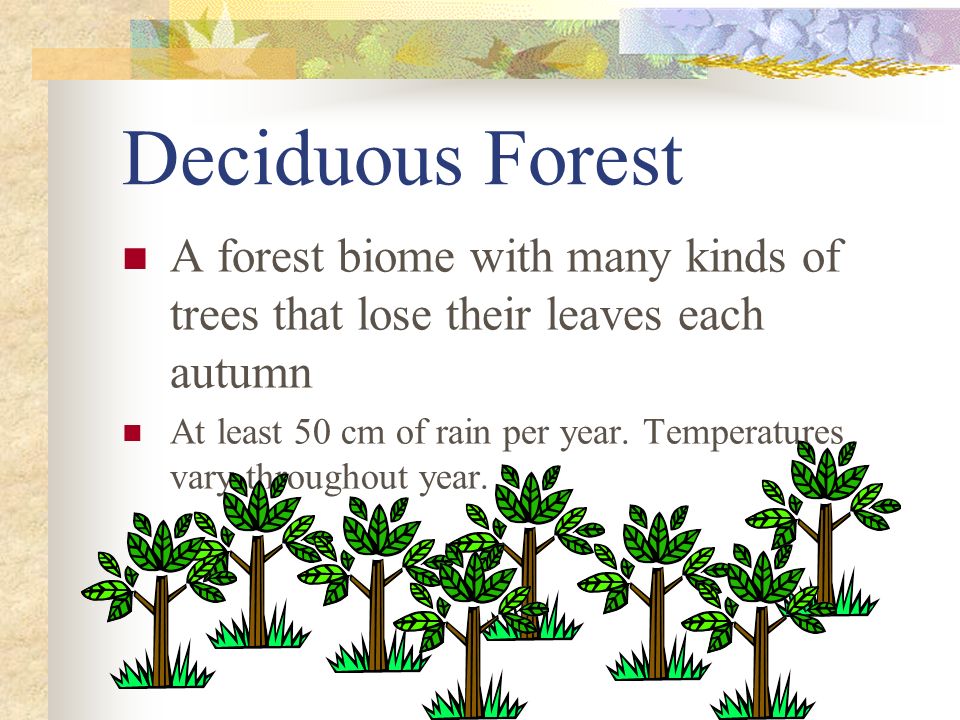 Deciduous Forest A forest biome with many kinds of trees that lose their leaves each autumn At least 50 cm of rain per year.