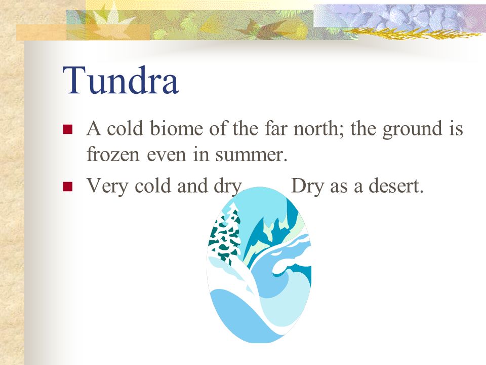 Tundra A cold biome of the far north; the ground is frozen even in summer.