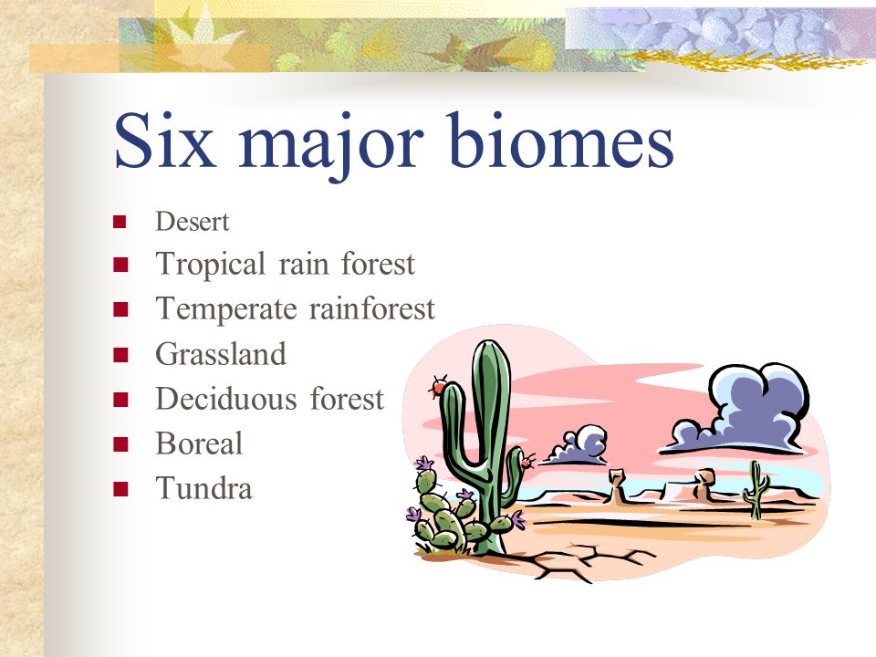 Six major biomes Desert Tropical rain forest Temperate rainforest Grassland Deciduous forest Boreal Tundra