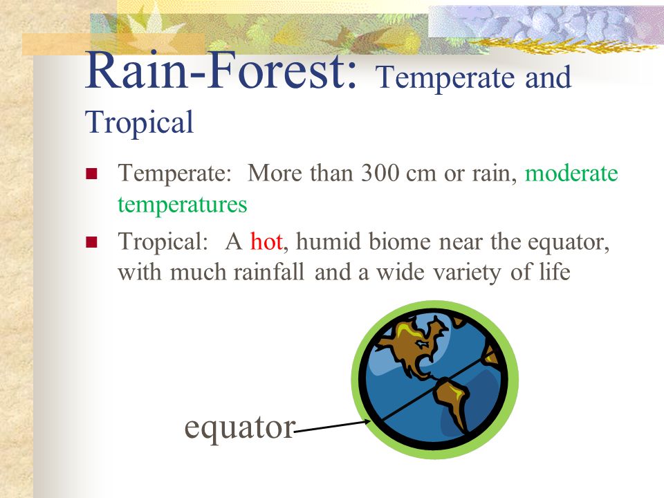 Rain-Forest: Temperate and Tropical Temperate: More than 300 cm or rain, moderate temperatures Tropical: A hot, humid biome near the equator, with much rainfall and a wide variety of life equator