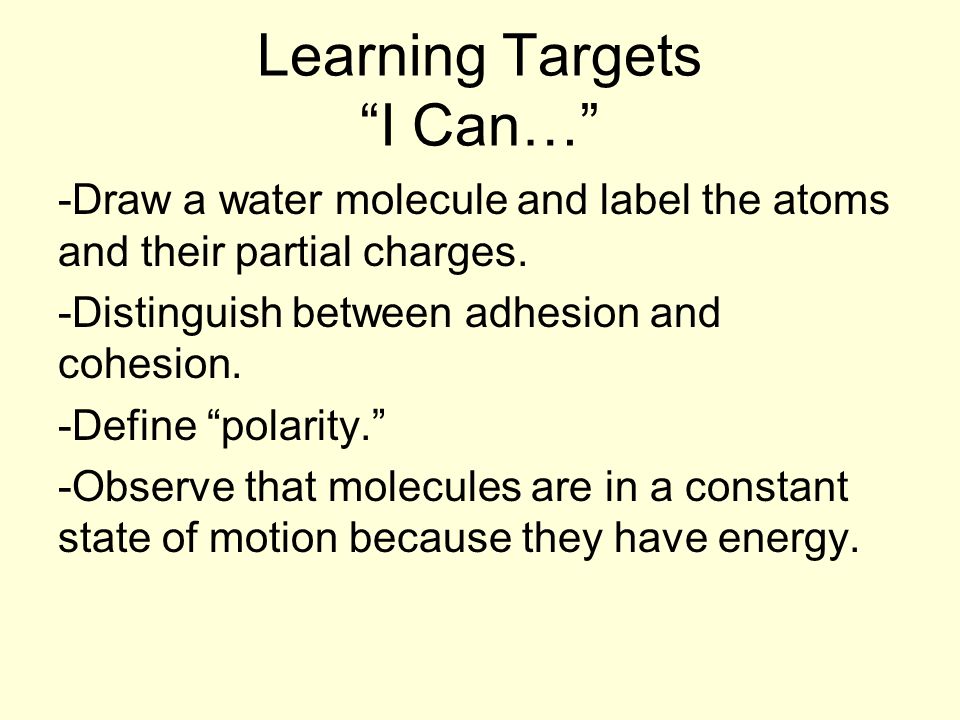 Learning Targets I Can… -Draw a water molecule and label the atoms and their partial charges.