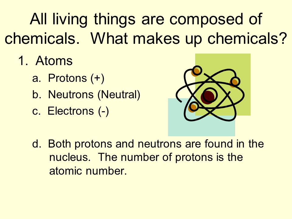 All living things are composed of chemicals. What makes up chemicals.