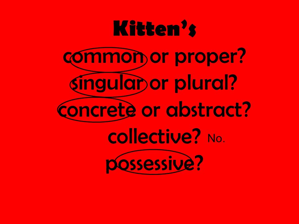 Kitten’s common or proper singular or plural concrete or abstract collective possessive No.