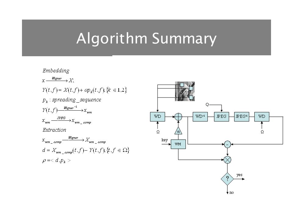 AFOSR PROGRAM REVIEW JUNE 5-7, 2003 PRINCETON, NJ DATA HIDING IN TIME ...