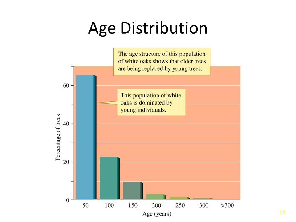 17 Age Distribution