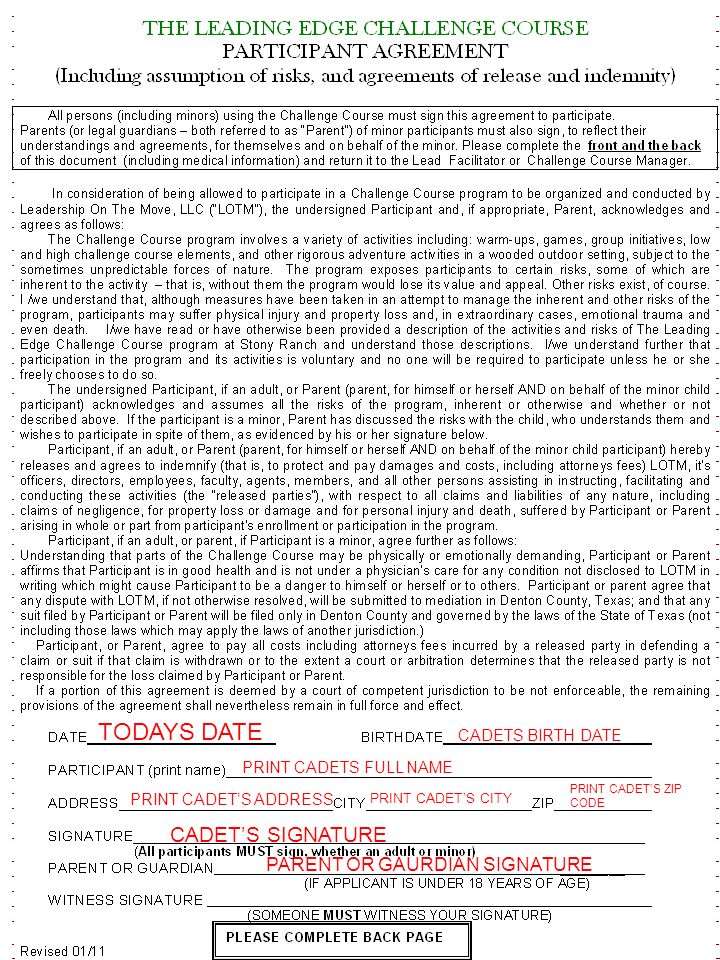 opinion essay ielts simon problems solutions