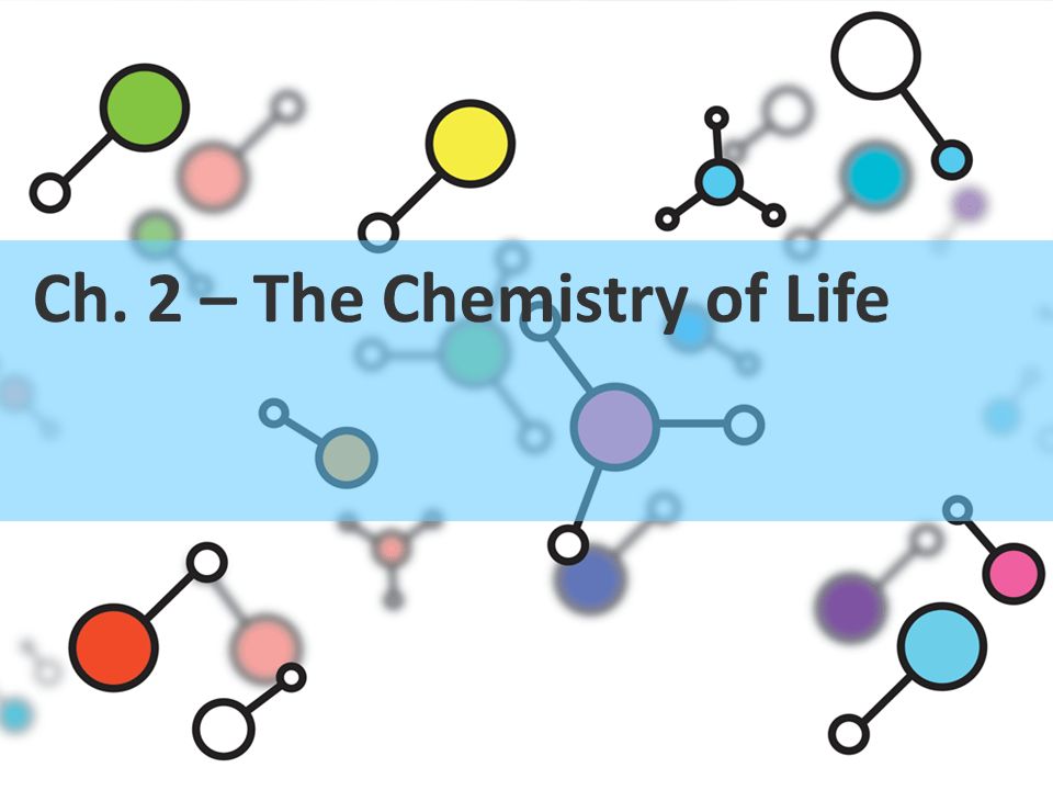 Ch. 2 – The Chemistry of Life