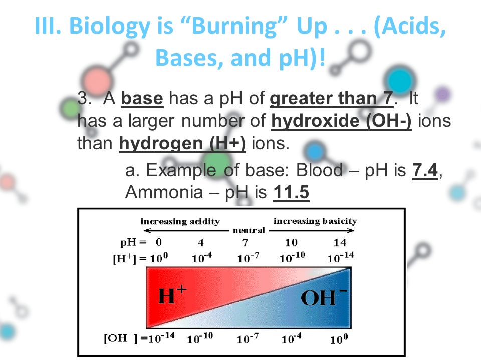 III. Biology is Burning Up... (Acids, Bases, and pH).