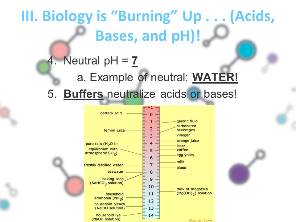 III. Biology is Burning Up... (Acids, Bases, and pH).