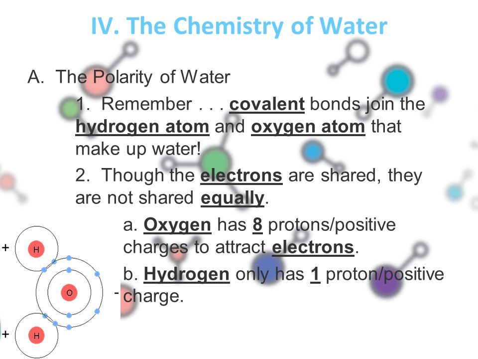IV. The Chemistry of Water A. The Polarity of Water 1.