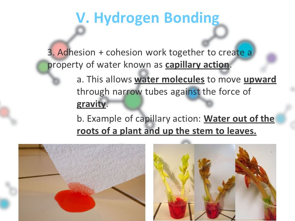 V. Hydrogen Bonding 3.