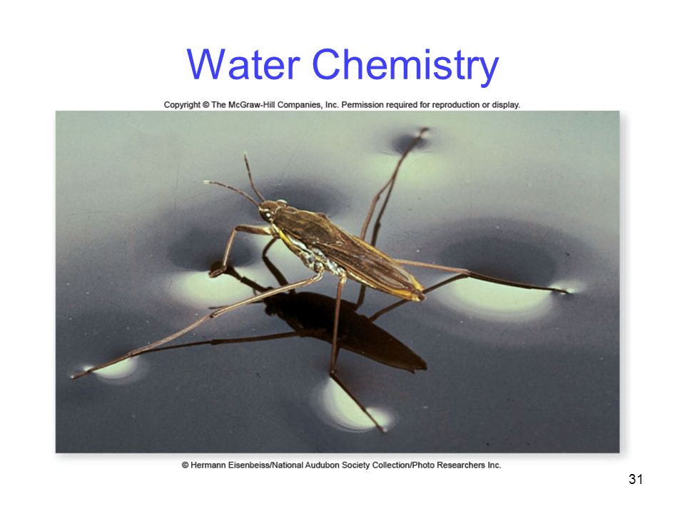31 Water Chemistry