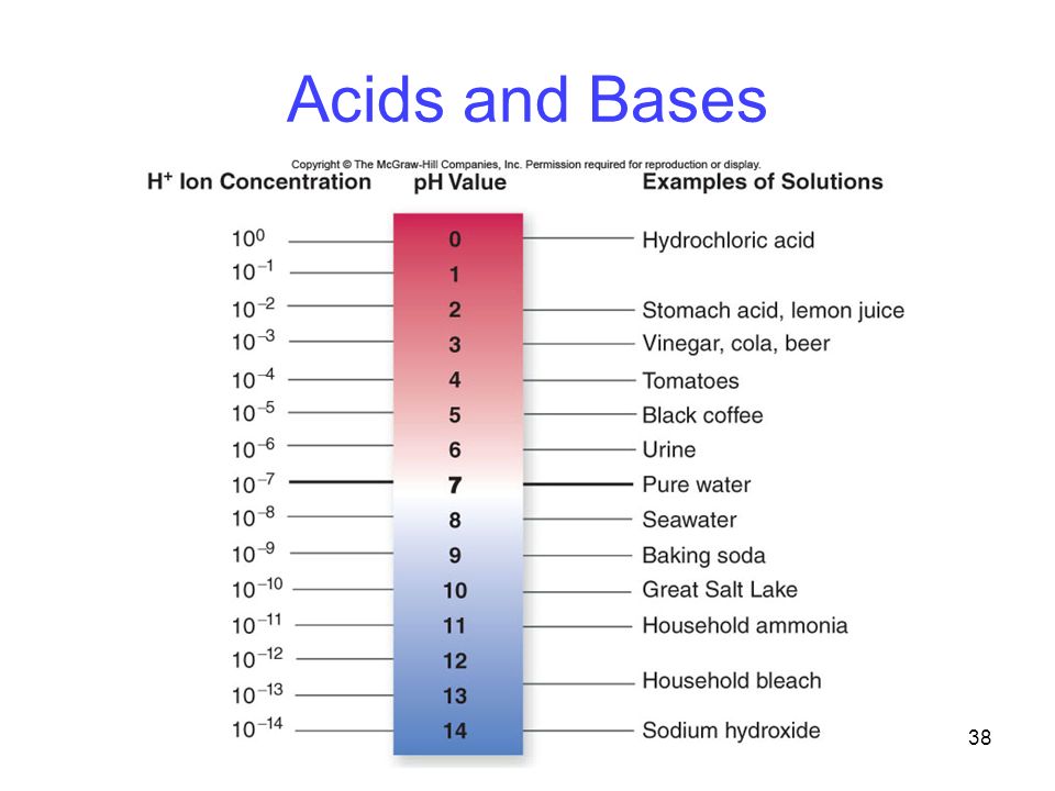 38 Acids and Bases