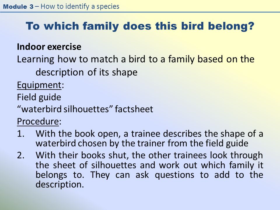 Module 3 – How to identify a species To which family does this bird belong.