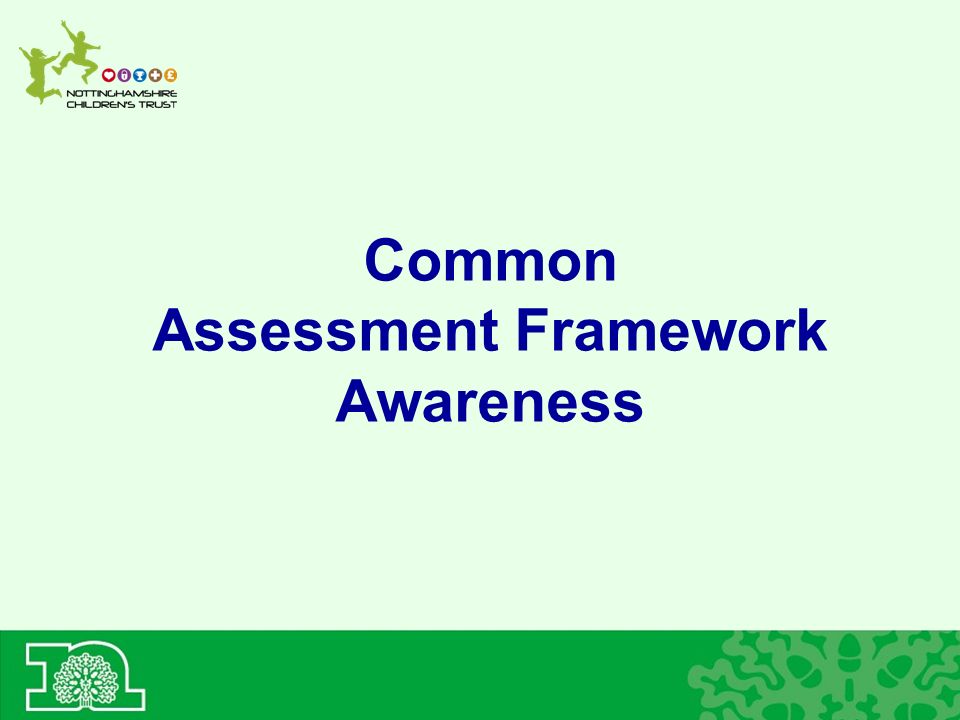 Common Assessment Framework Awareness