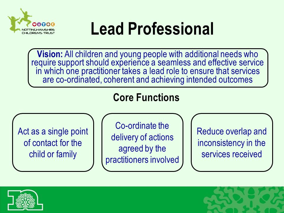 Lead Professional Vision: All children and young people with additional needs who require support should experience a seamless and effective service in which one practitioner takes a lead role to ensure that services are co-ordinated, coherent and achieving intended outcomes Core Functions Act as a single point of contact for the child or family Reduce overlap and inconsistency in the services received Co-ordinate the delivery of actions agreed by the practitioners involved