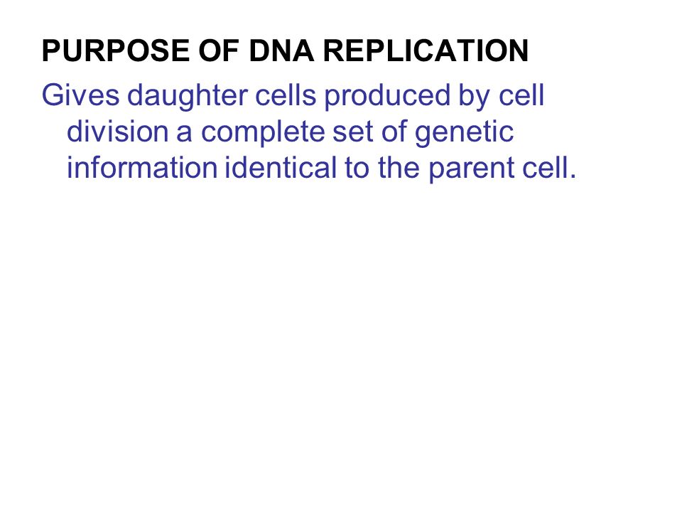PURPOSE OF DNA REPLICATION Gives daughter cells produced by cell division a complete set of genetic information identical to the parent cell.
