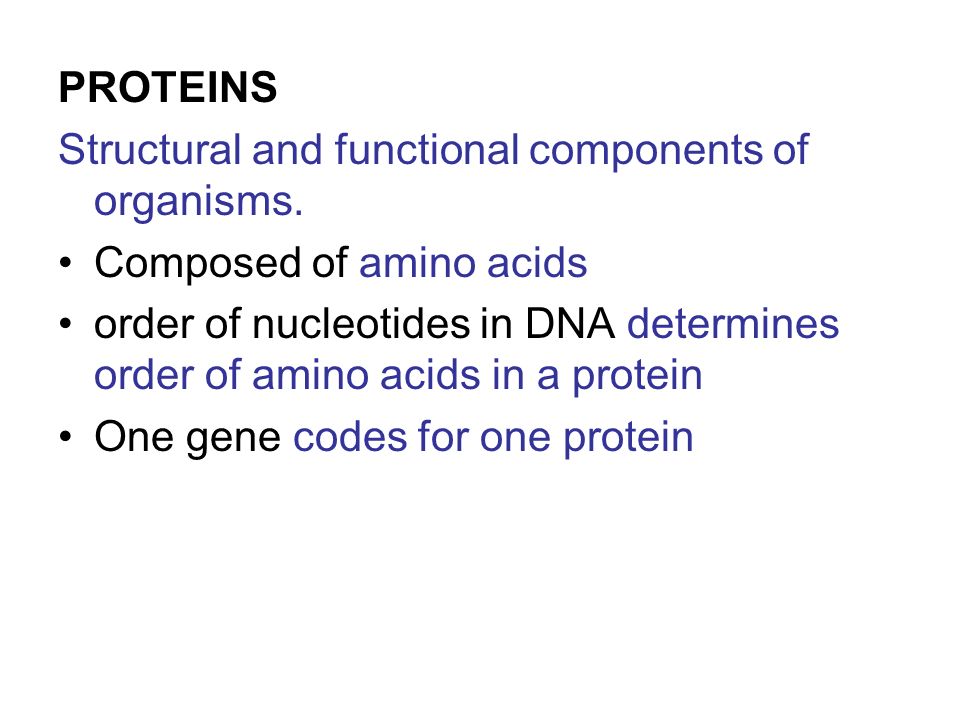 PROTEINS Structural and functional components of organisms.