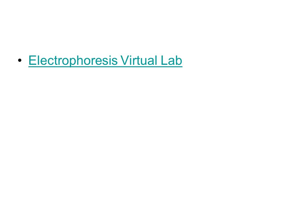 Electrophoresis Virtual Lab