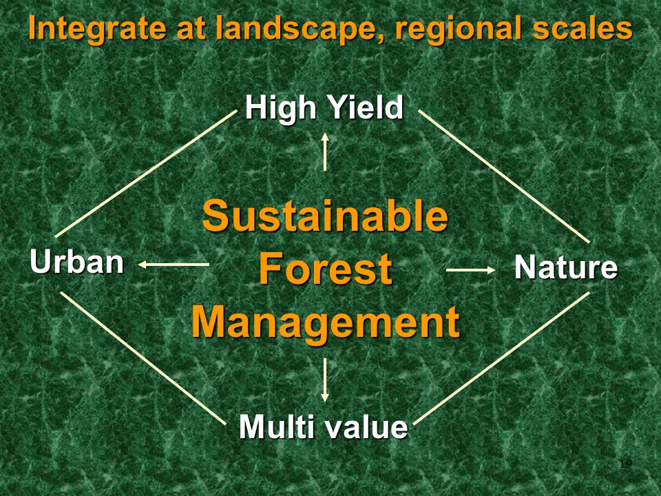 19 Sustainable Forest Management High Yield Multi value Nature Urban Integrate at landscape, regional scales