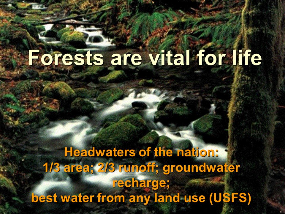 4 Forests ecosystems are vital for life Forests are vital for life Headwaters of the nation: 1/3 area; 2/3 runoff; groundwater recharge; best water from any land use (USFS)