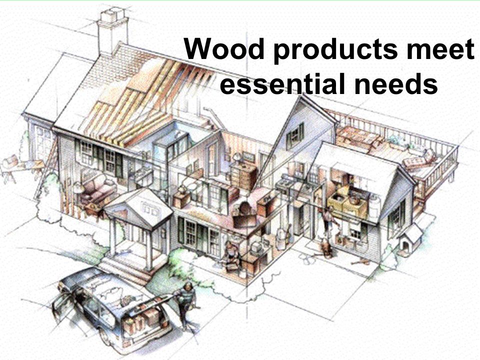 7 Wood products meet essential needs