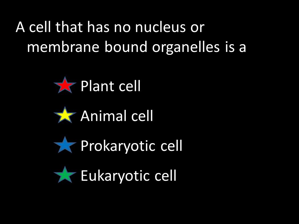 Cell Structure Review A Cell That Has No Nucleus Or Membrane Bound Organelles Is A Plant Cell Animal Cell Prokaryotic Cell Eukaryotic Cell Ppt Download