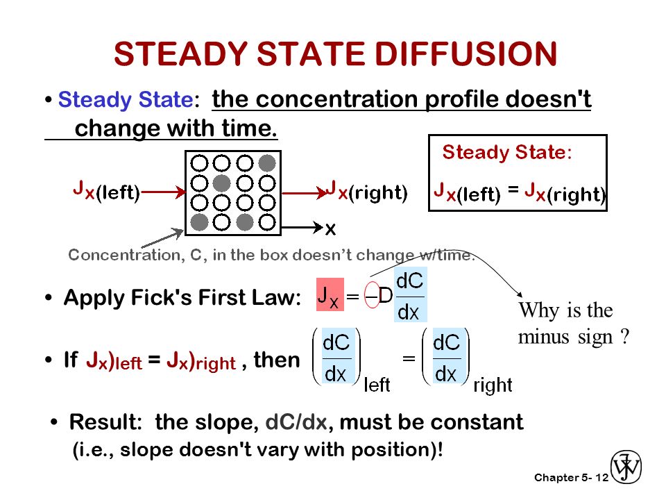 Chapter 5- Steady State: the concentration profile doesn t change with time.