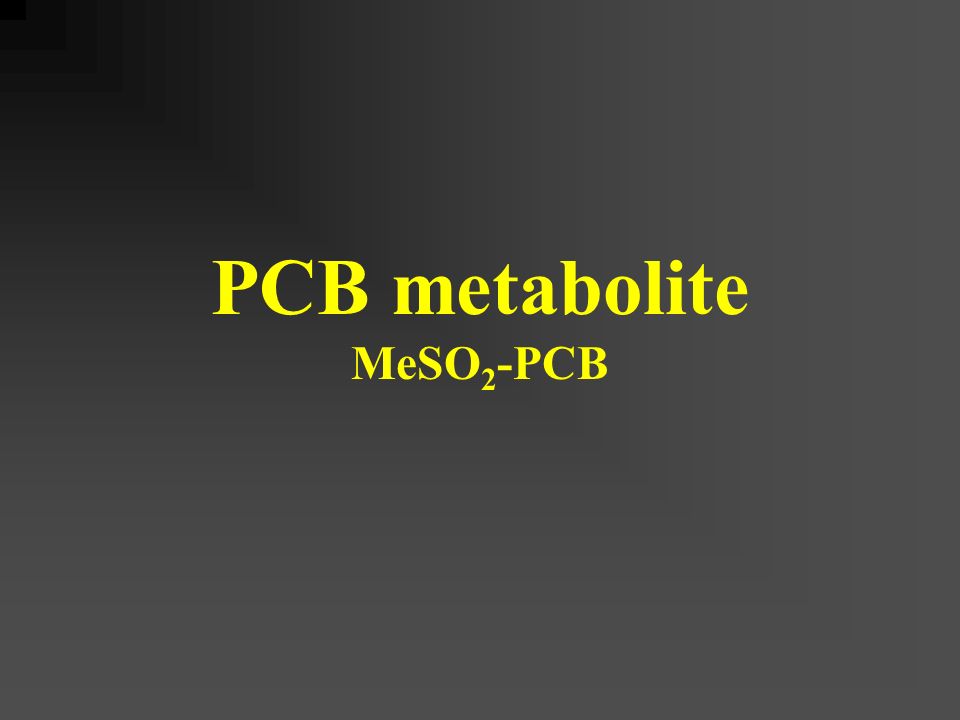 PCB metabolite MeSO 2 -PCB