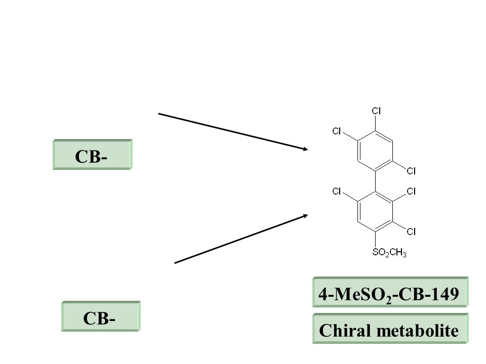 4-MeSO 2 -CB-149 CB- Chiral metabolite