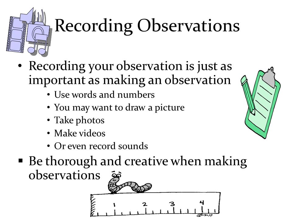 Recording Observations Recording your observation is just as important as making an observation Use words and numbers You may want to draw a picture Take photos Make videos Or even record sounds  Be thorough and creative when making observations