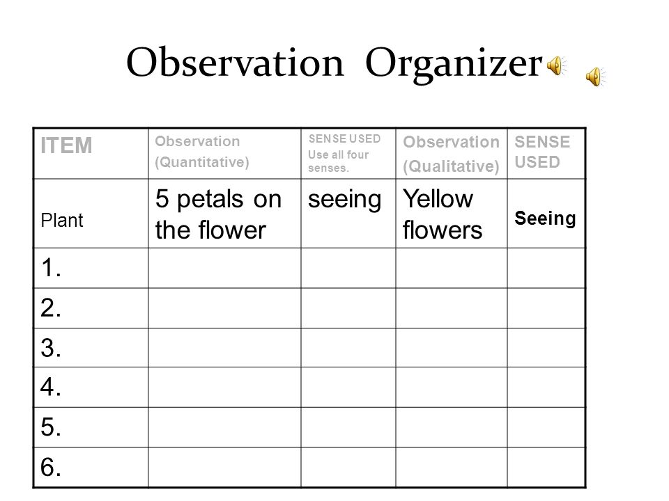 Observation Organizer ITEM Observation (Quantitative) SENSE USED Use all four senses.