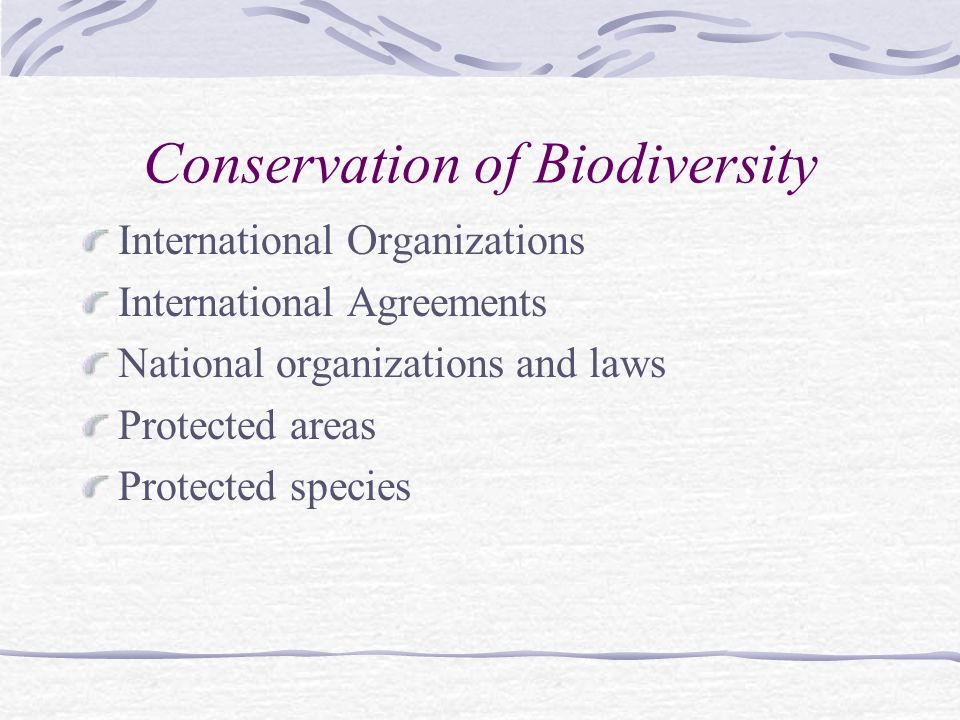 International Organizations International Agreements National organizations and laws Protected areas Protected species