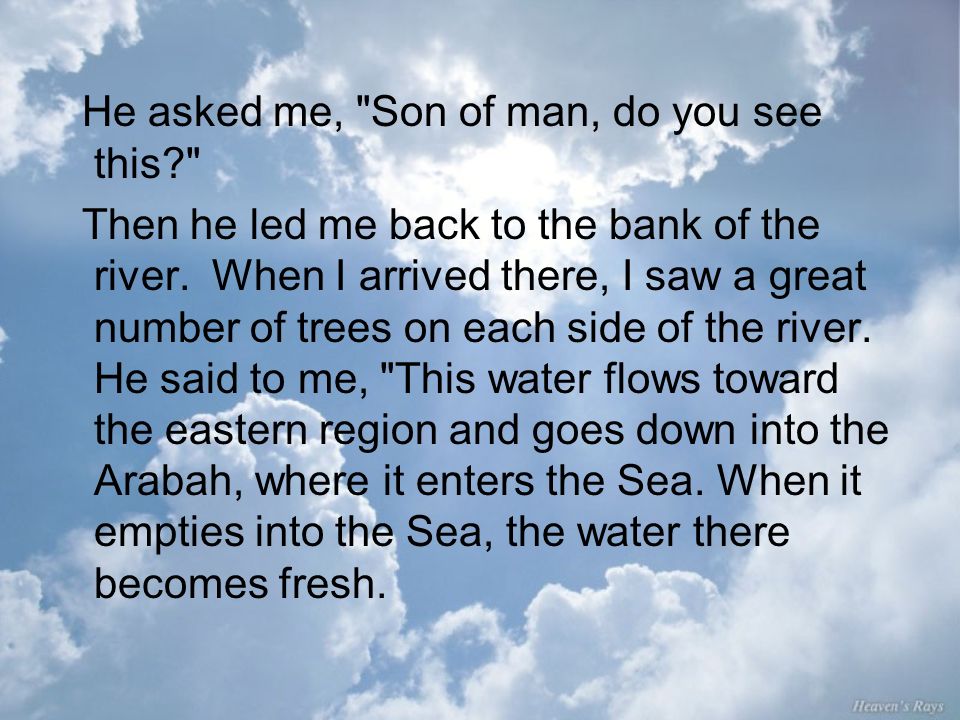 He asked me, Son of man, do you see this Then he led me back to the bank of the river.