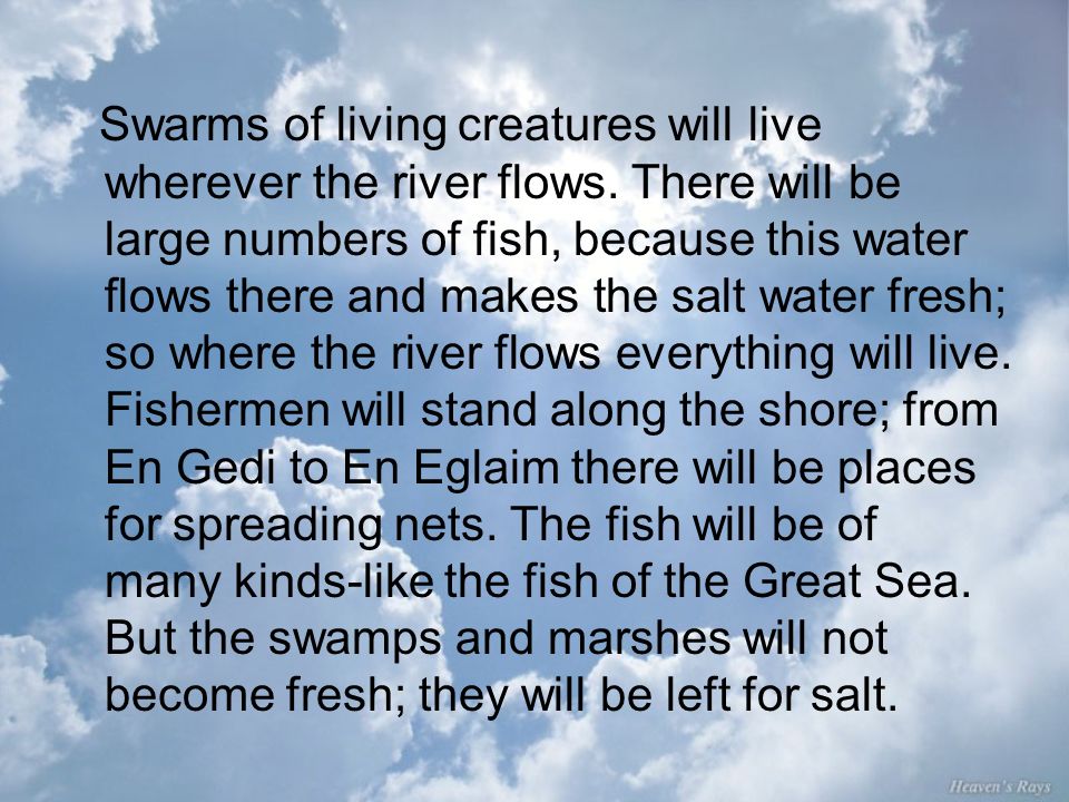 Swarms of living creatures will live wherever the river flows.