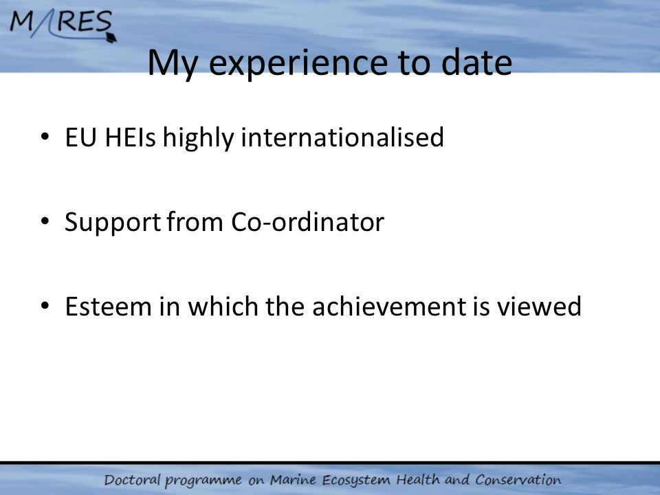 My experience to date EU HEIs highly internationalised Support from Co-ordinator Esteem in which the achievement is viewed