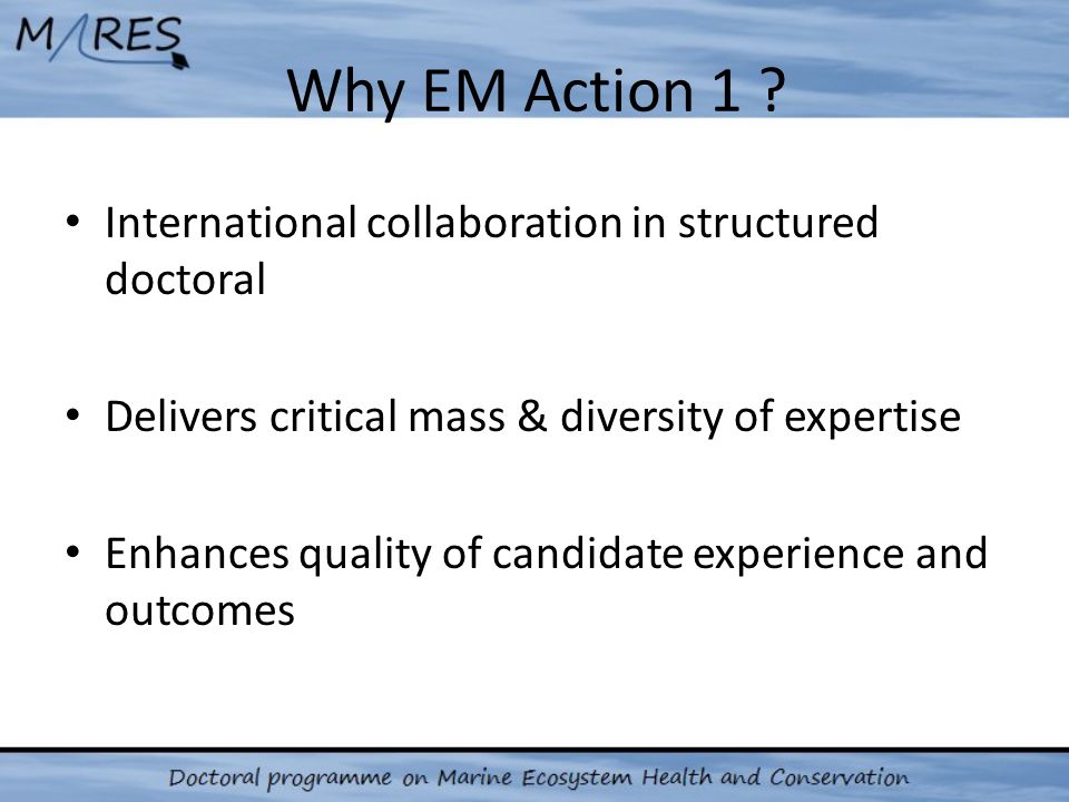 Why EM Action 1 .