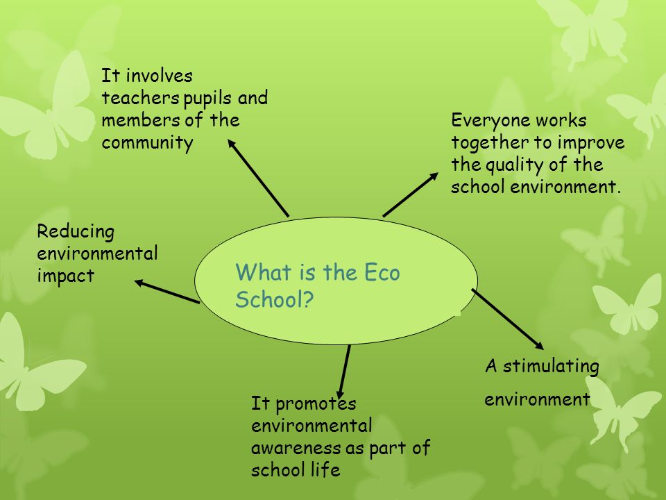 What Is Eco >> Eco Schools What Is The Eco School Everyone Works Together What Is Eco >> Eco Schools What Is The Eco School Everyone Works Together