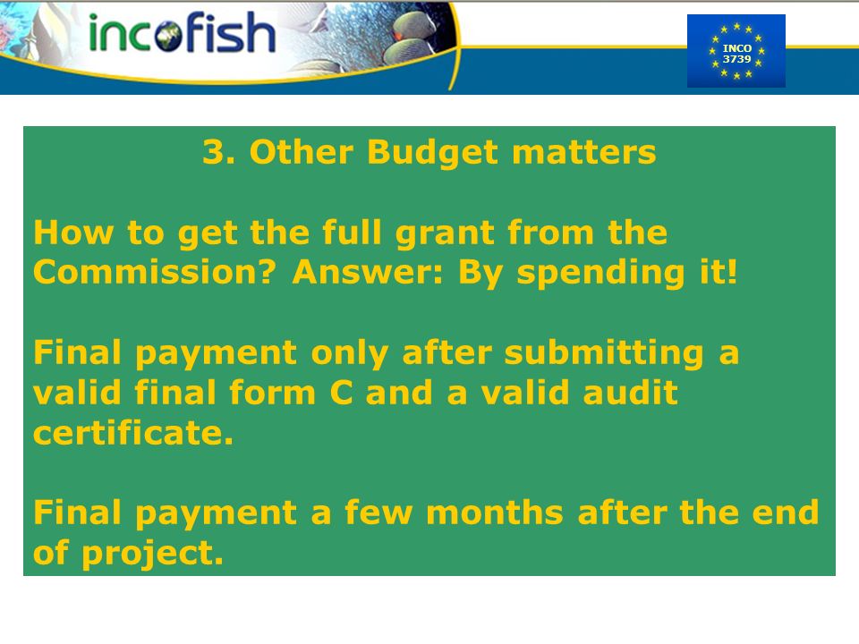 INCO Other Budget matters How to get the full grant from the Commission.