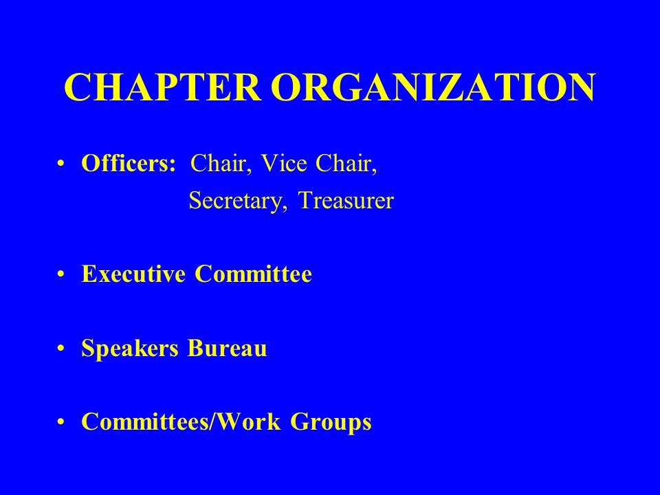CHAPTER ORGANIZATION Officers: Chair, Vice Chair, Secretary, Treasurer Executive Committee Speakers Bureau Committees/Work Groups